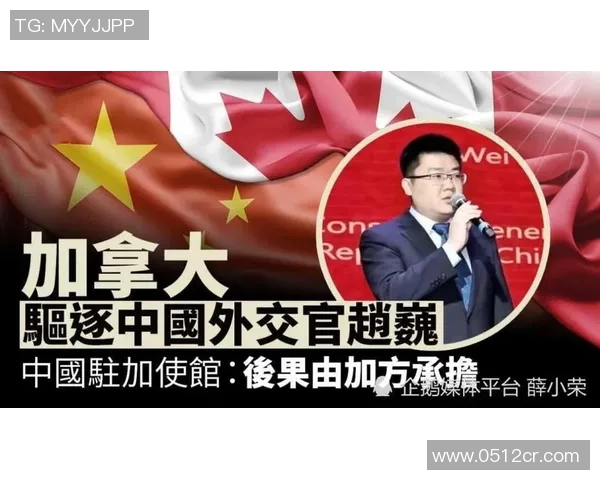 中国与加拿大精彩对决回放全程回顾与分析