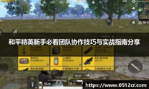 和平精英新手必看团队协作技巧与实战指南分享