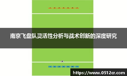 南京飞盘队灵活性分析与战术创新的深度研究
